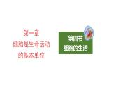 2.1.4细胞的生活优化 课件-2023-2024学年人教版生物七年级上册