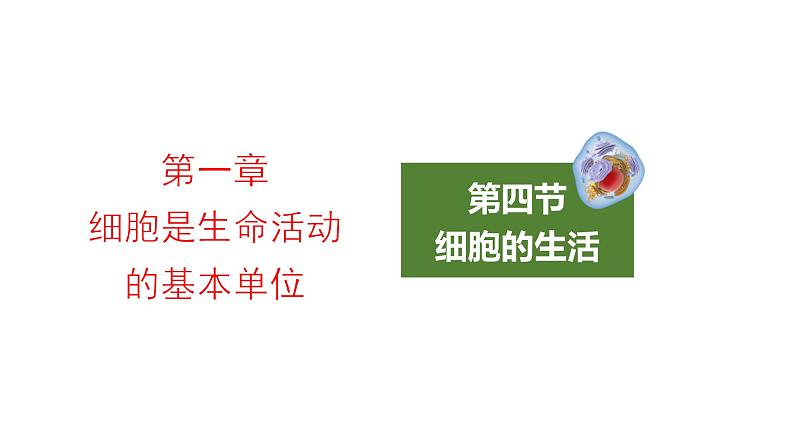 2.1.4细胞的生活优化 课件-2023-2024学年人教版生物七年级上册01