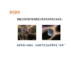 2.1.4细胞的生活优化 课件-2023-2024学年人教版生物七年级上册