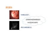 2.1.4细胞的生活优化 课件-2023-2024学年人教版生物七年级上册