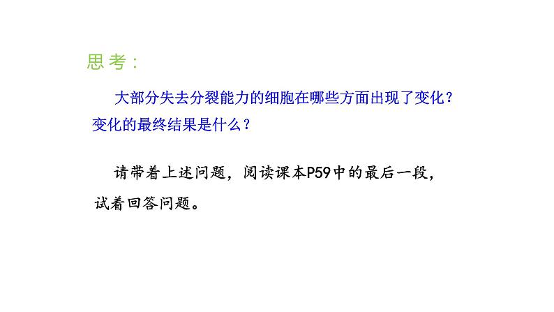 2.2.2动物体的结构层次优化 课件-2023-2024学年人教版生物七年级上册06