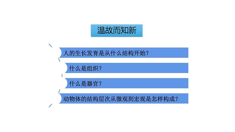 2.2.3植物体的结构层次优化 课件-2023-2024学年人教版生物七年级上册01