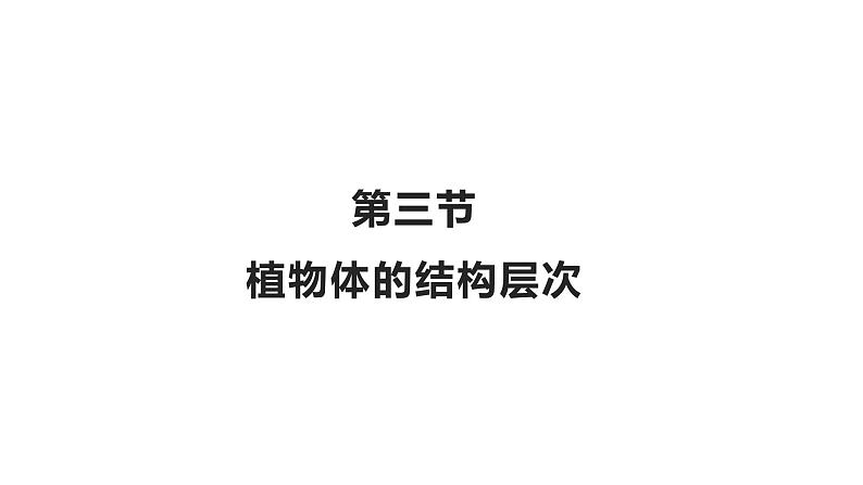 2.2.3植物体的结构层次优化 课件-2023-2024学年人教版生物七年级上册04