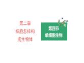 2.2.4单细胞生物优化 课件-2023-2024学年人教版生物七年级上册