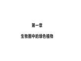 3.1.1藻类、苔藓和蕨类植物优化 课件-2023-2024学年人教版生物七年级上册