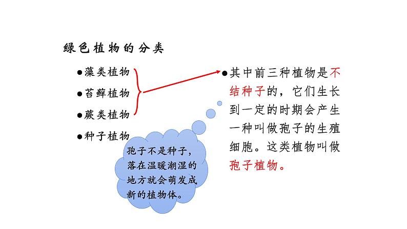 3.1.1藻类、苔藓和蕨类植物优化 课件-2023-2024学年人教版生物七年级上册03