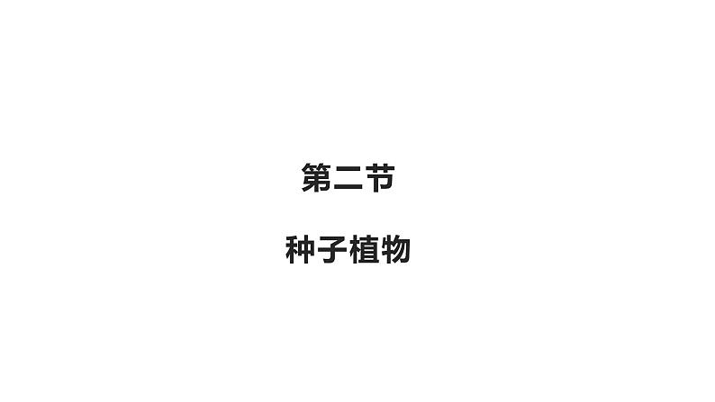 3.1.2种子植物优化 课件-2023-2024学年人教版生物七年级上册02