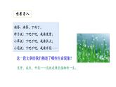 3.2.1种子的萌发优化 课件-2023-2024学年人教版生物七年级上册