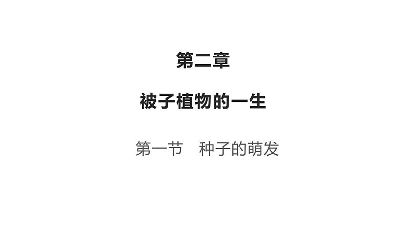 3.2.1种子的萌发优化 课件-2023-2024学年人教版生物七年级上册02