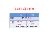 3.2.1种子的萌发优化 课件-2023-2024学年人教版生物七年级上册