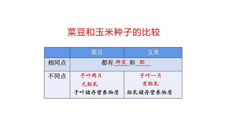 3.2.1种子的萌发优化 课件-2023-2024学年人教版生物七年级上册04