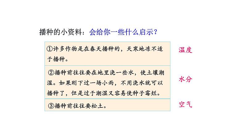 3.2.1种子的萌发优化 课件-2023-2024学年人教版生物七年级上册06