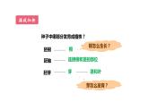 3.2.2植株的生长优化 课件-2023-2024学年人教版生物七年级上册