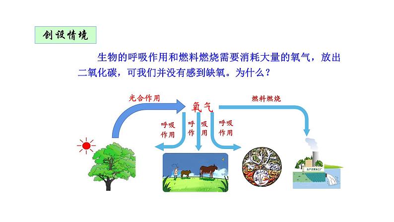 3.5.1光合作用吸收二氧化碳释放氧气优化 课件-2023-2024学年人教版生物七年级上册01