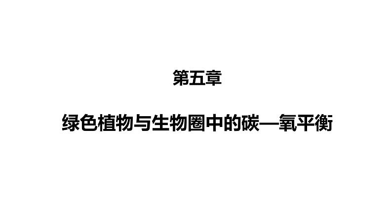 3.5.1光合作用吸收二氧化碳释放氧气优化 课件-2023-2024学年人教版生物七年级上册02