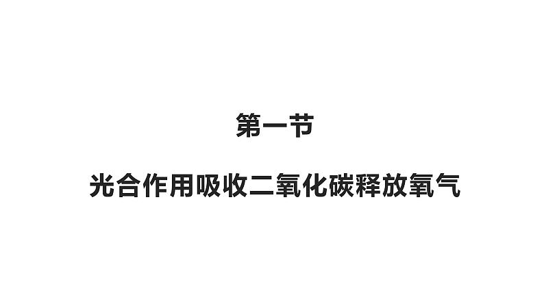 3.5.1光合作用吸收二氧化碳释放氧气优化 课件-2023-2024学年人教版生物七年级上册03