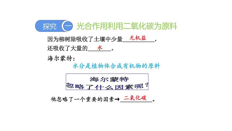 3.5.1光合作用吸收二氧化碳释放氧气优化 课件-2023-2024学年人教版生物七年级上册05