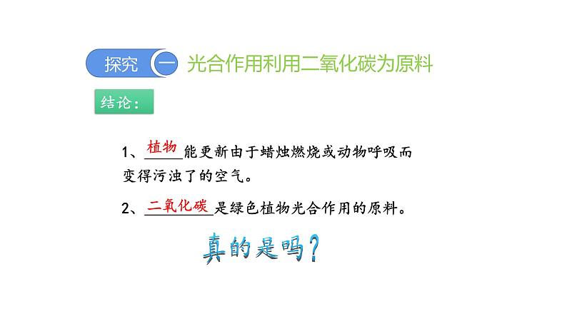 3.5.1光合作用吸收二氧化碳释放氧气优化 课件-2023-2024学年人教版生物七年级上册07