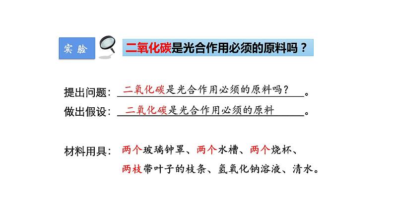 3.5.1光合作用吸收二氧化碳释放氧气优化 课件-2023-2024学年人教版生物七年级上册08