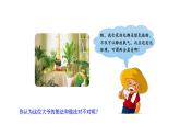 3.5.2 绿色植物的呼吸作用优化 课件-2023-2024学年人教版生物七年级上册