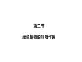 3.5.2 绿色植物的呼吸作用优化 课件-2023-2024学年人教版生物七年级上册