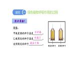 3.5.2 绿色植物的呼吸作用优化 课件-2023-2024学年人教版生物七年级上册