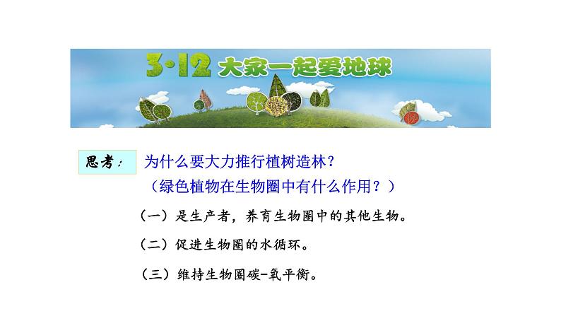 3.6爱护植被，绿化祖国优化 课件-2023-2024学年人教版生物七年级上册第3页