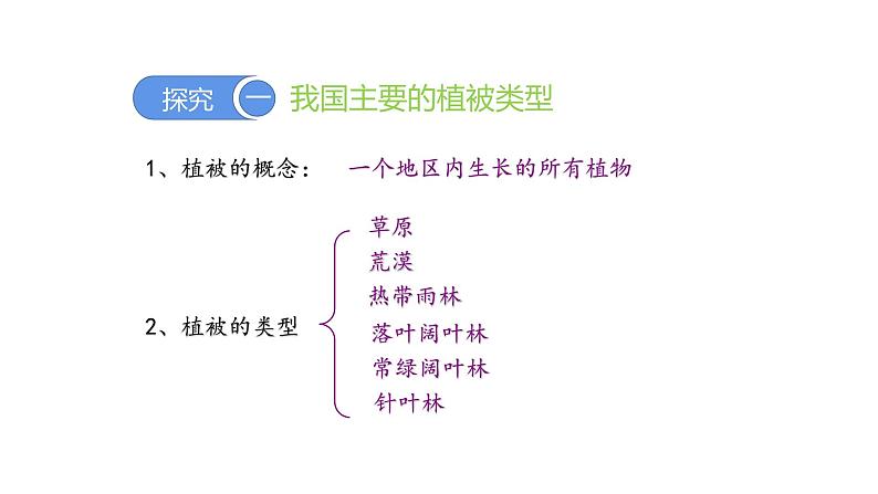 3.6爱护植被，绿化祖国优化 课件-2023-2024学年人教版生物七年级上册第4页