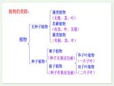 苏教版生物八上5.14.1 五彩缤纷的植物世界（第1课时）（课件PPT)