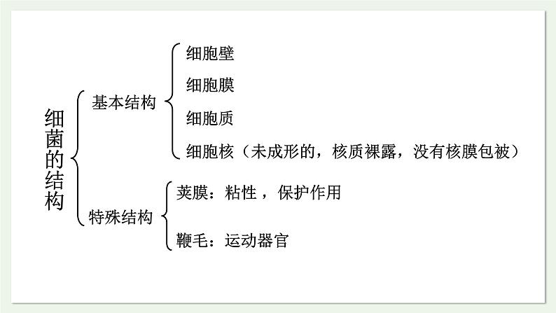 苏教版生物八上5.14.3 神奇的微生物（课件PPT)05