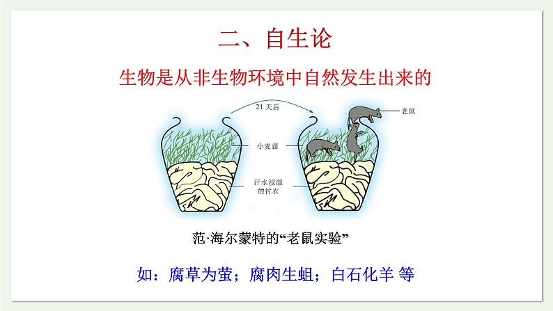 苏教版生物八上5.16.1 生命的诞生（课件PPT)04