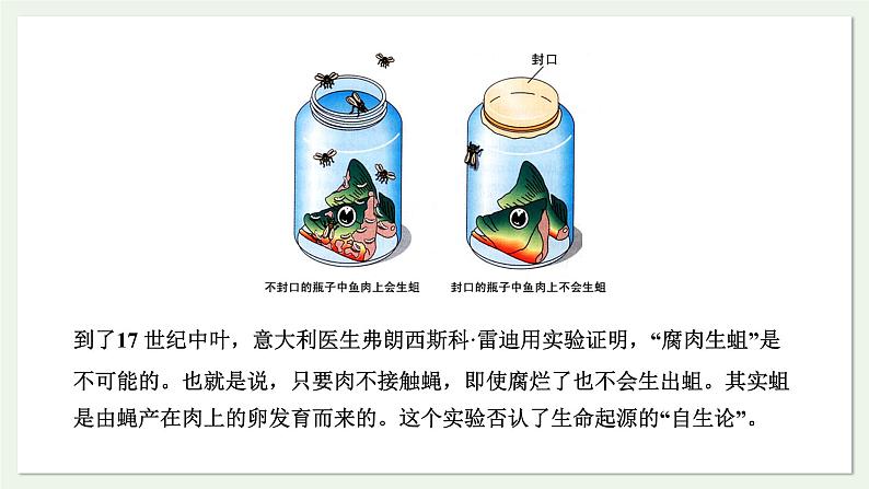 苏教版生物八上5.16.1 生命的诞生（课件PPT)05