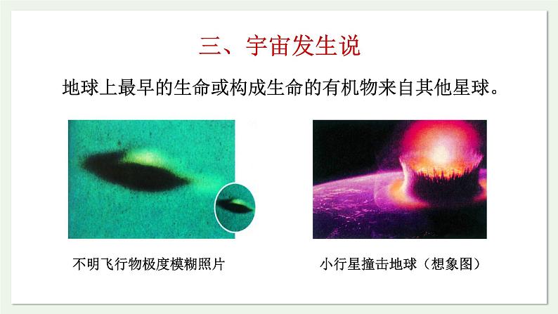 苏教版生物八上5.16.1 生命的诞生（课件PPT)07