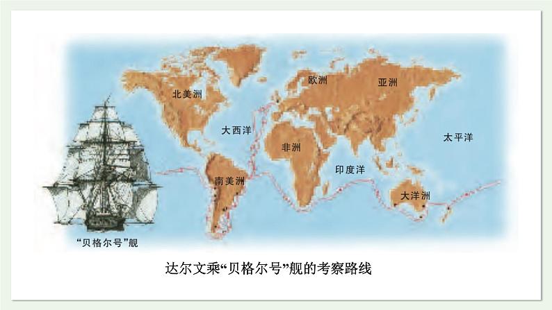 苏教版生物八上5.16.3 生物进化的学说（课件PPT)04