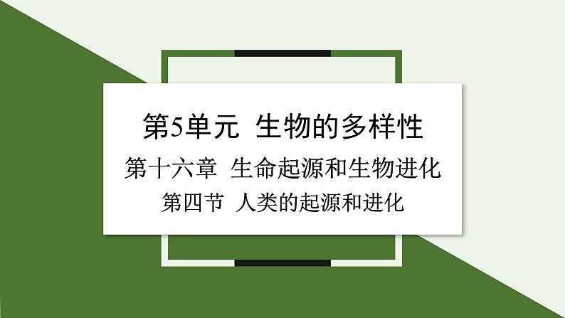 苏教版生物八上5.16.4 人类的起源和进化（课件PPT)第1页