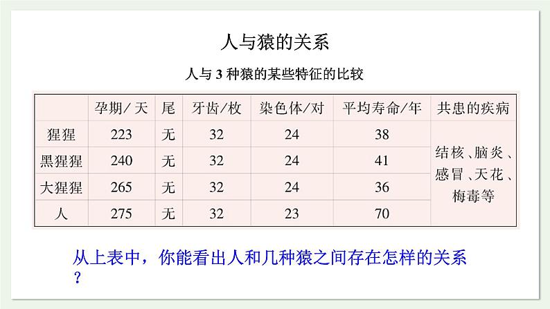 苏教版生物八上5.16.4 人类的起源和进化（课件PPT)第3页