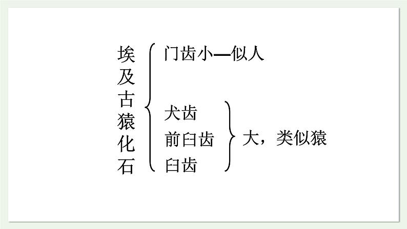 苏教版生物八上5.16.4 人类的起源和进化（课件PPT)第8页