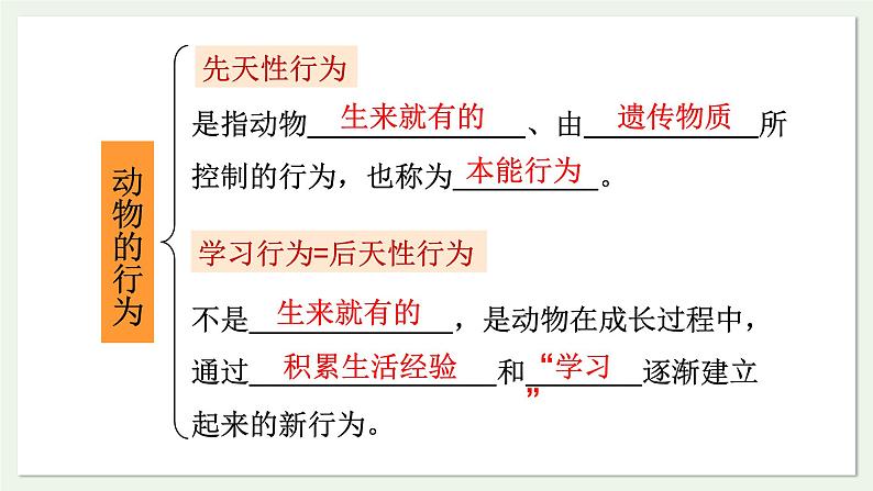 苏教版生物八上6.18.2 动物行为的生理基础（课件PPT)08