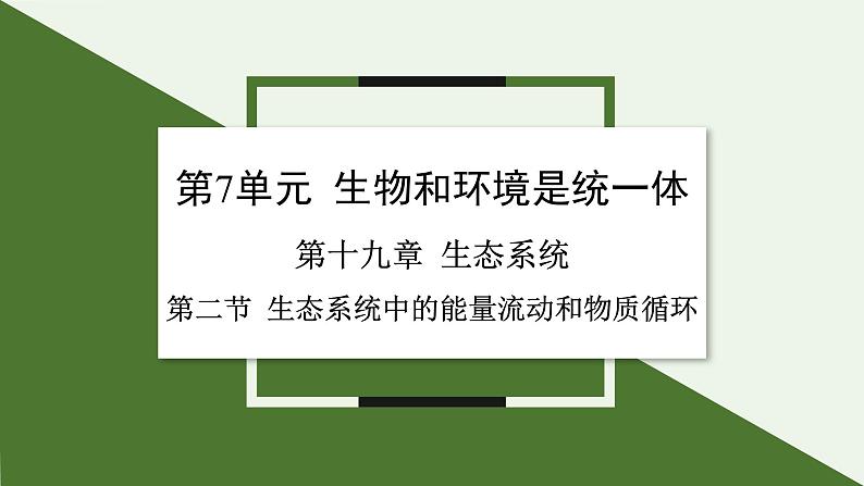 苏教版生物八上7.19.2 生态系统中的能量流动和物质循环（课件PPT)01