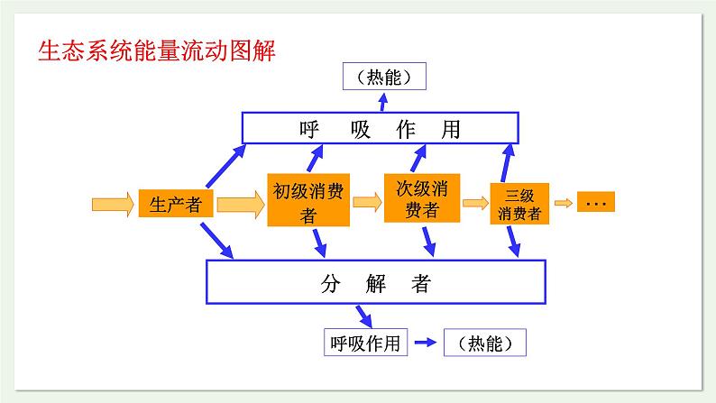 苏教版生物八上7.19.2 生态系统中的能量流动和物质循环（课件PPT)06