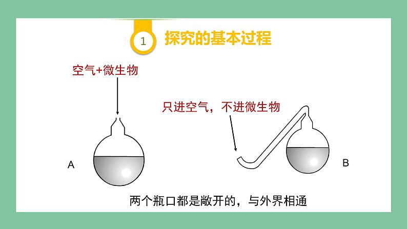 济南版生物七上 1.1.3 生物学的探究方法（课件PPT)08