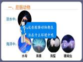 5.1.1腔肠动物和扁形动物 课件-2023-2024学年人教版生物八年级上册