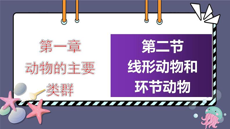 5.1.2线形动物和环节动物 课件-2023-2024学年人教版生物八年级上册01