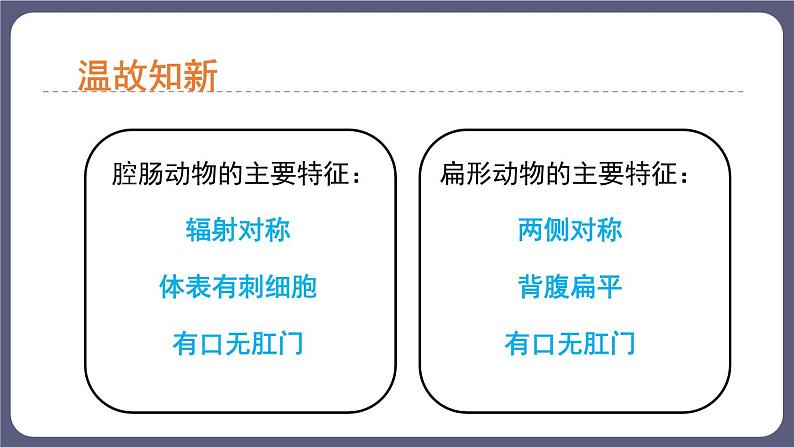 5.1.2线形动物和环节动物 课件-2023-2024学年人教版生物八年级上册02