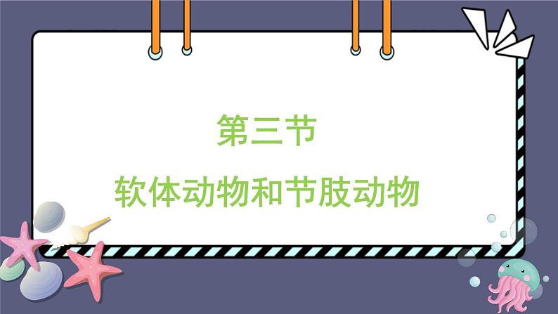 5.1.3软体动物和节肢动物 课件-2023-2024学年人教版生物八年级上册第1页