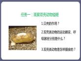 5.1.3软体动物和节肢动物 课件-2023-2024学年人教版生物八年级上册