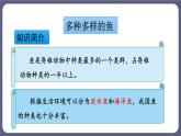 5.1.4鱼 课件-2023-2024学年人教版生物八年级上册