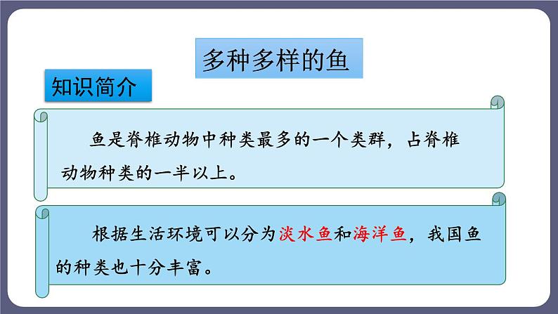 5.1.4鱼 课件-2023-2024学年人教版生物八年级上册05