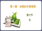 5.1.6鸟 课件-2023-2024学年人教版生物八年级上册