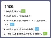 5.1.6鸟 课件-2023-2024学年人教版生物八年级上册